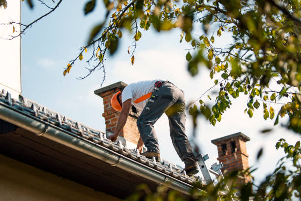 Best Rubber Roofing (EPDM, TPO)  in New Brighton, MN