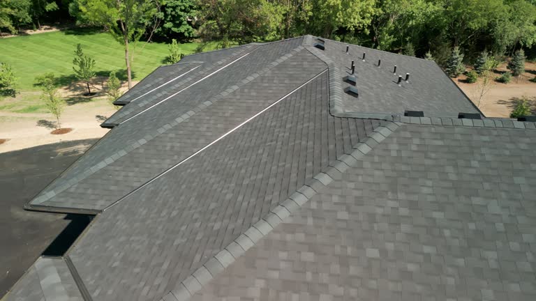 Best Sheet Metal Roofing  in New Brighton, MN