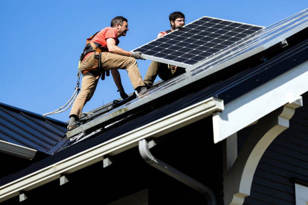 Best Roof Moss and Algae Removal  in New Brighton, MN