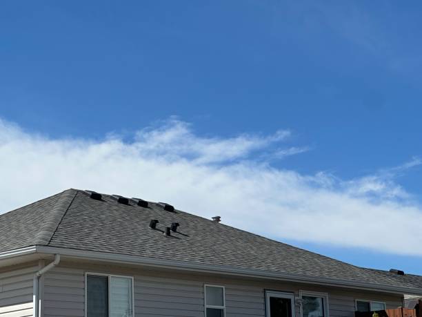 Best Roof Maintenance and Cleaning  in New Brighton, MN